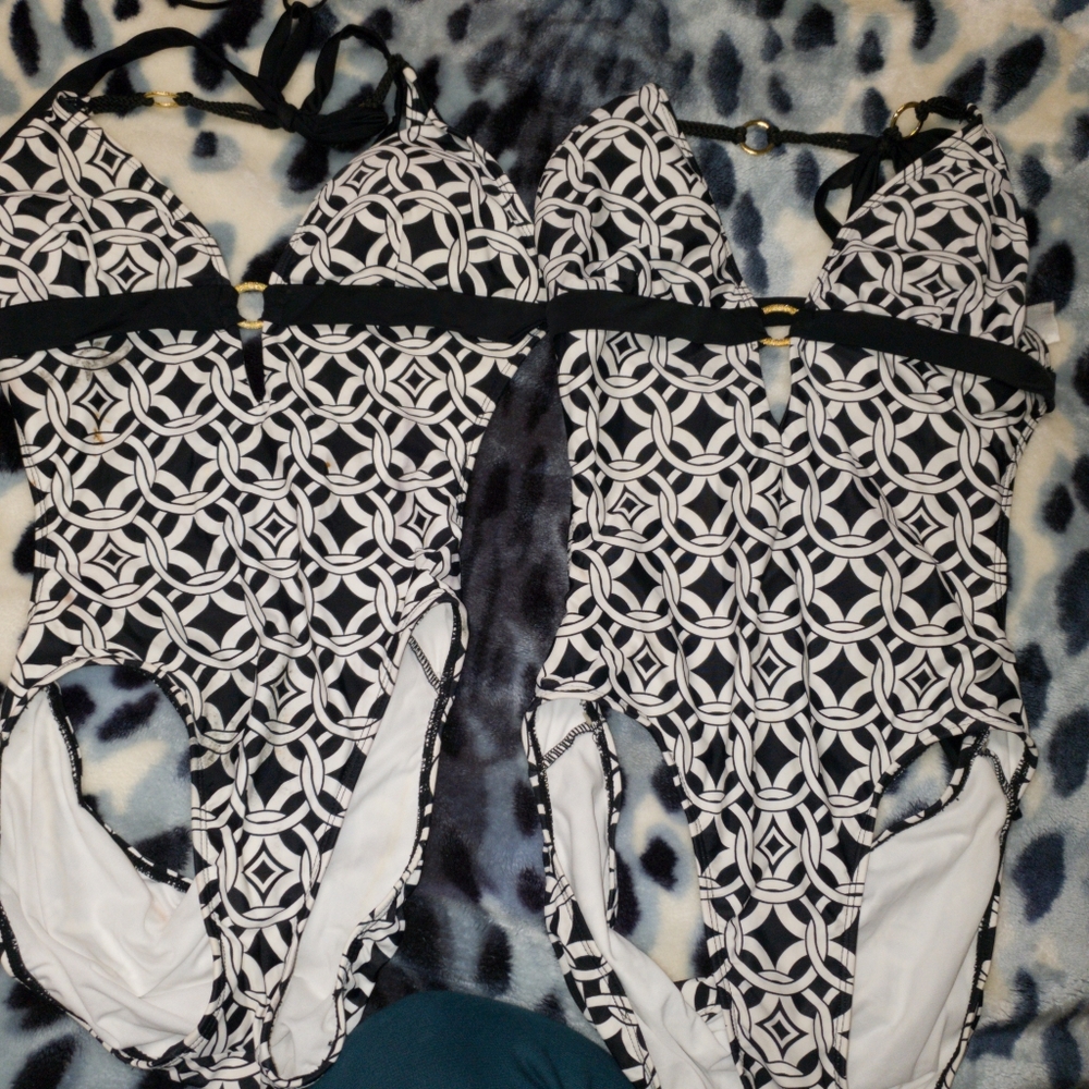 Two Bathing Suits
